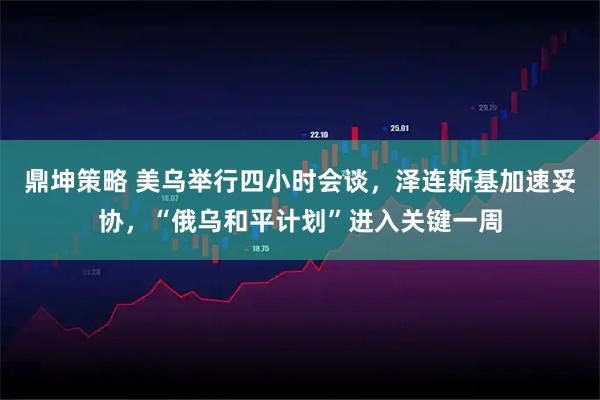 鼎坤策略 美乌举行四小时会谈,泽连斯基加速妥协,“俄乌和平计划”进入关键一周